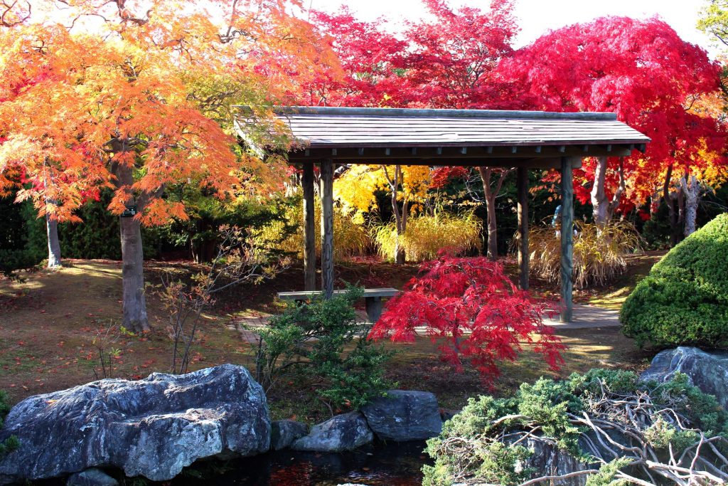 平岡樹芸センター日本庭園