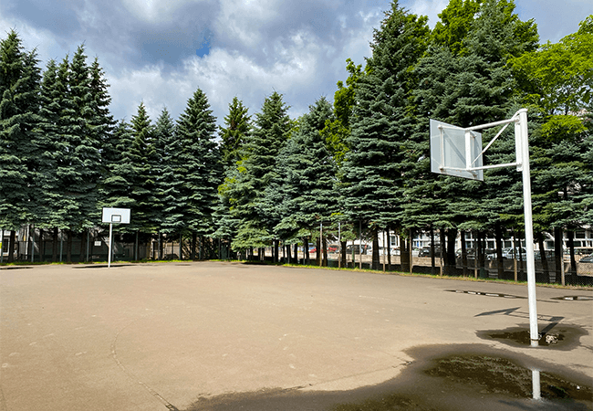 新光公園バスケット