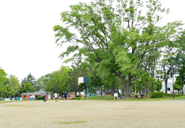 北郷公園バスケット