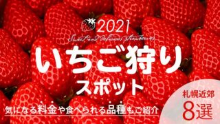 21年 札幌限定 イチゴ狩りができるスポットまとめ 6月中旬