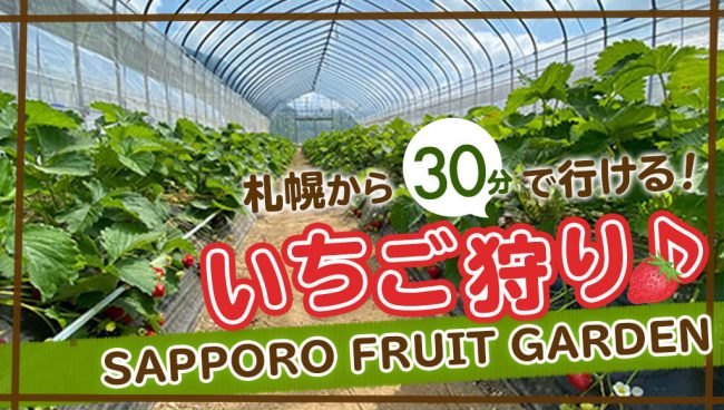 いちご狩り 札幌から30分 Sapporo Fruit Garden