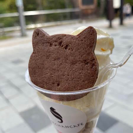 tocchan cafe(トッチャンカフェ)　にゃんこソフト